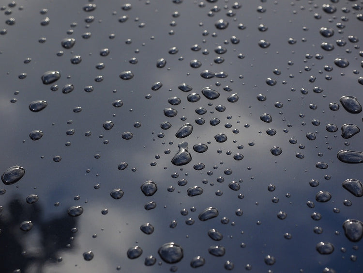 Autopflege – polierter Lack mit Wassertropfen nach Reinigung und Versiegelung